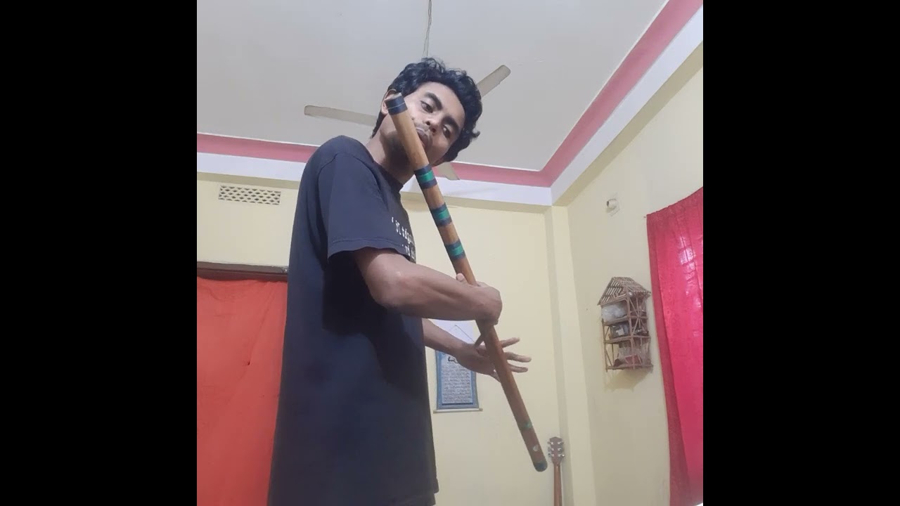 মিশ্র হংসধ্বনি  