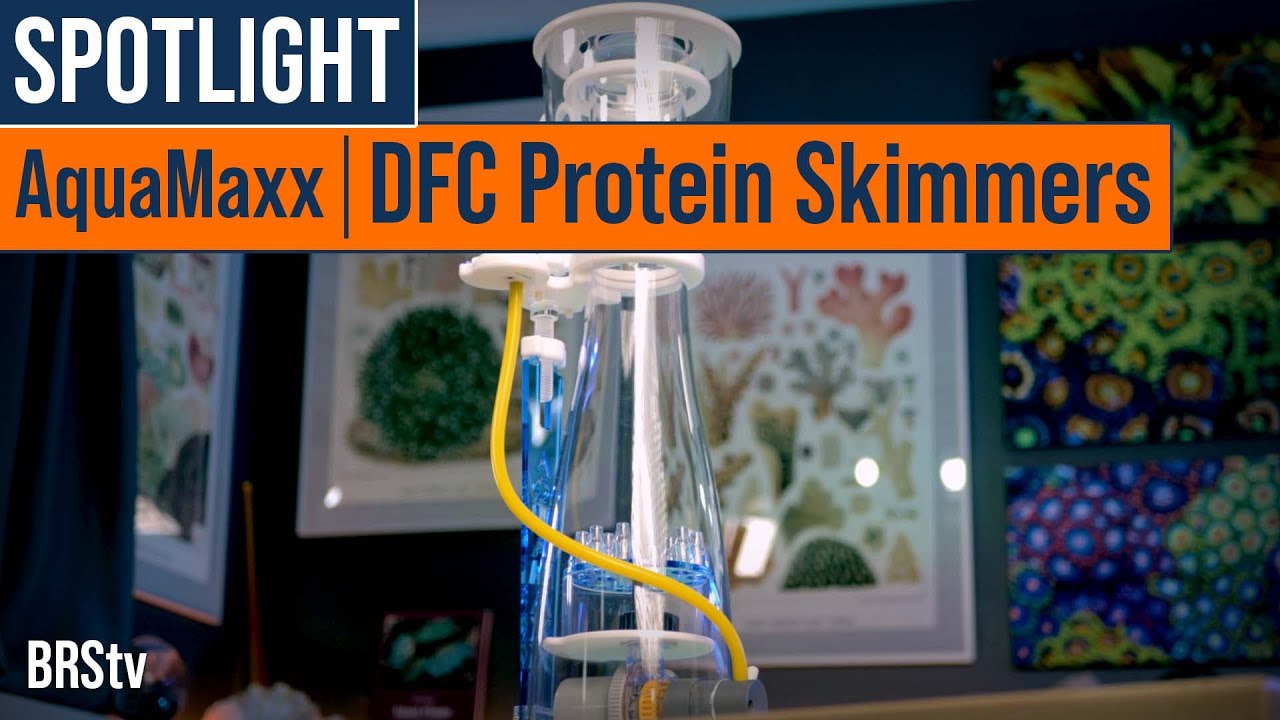 Affordable & Sleek Saltwater Aquarium Filtration! AquaMaxx DFC Protein Skimmers