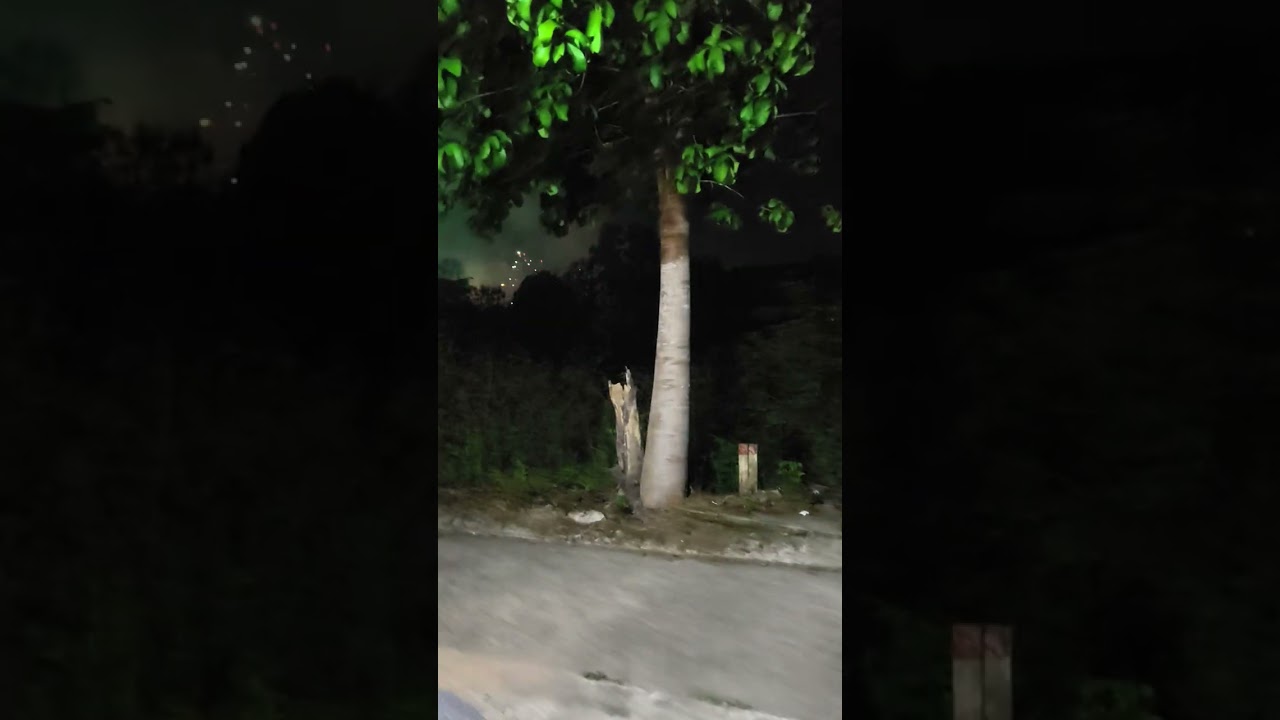 Xem pháo hoa ngày Tết ở nhà 