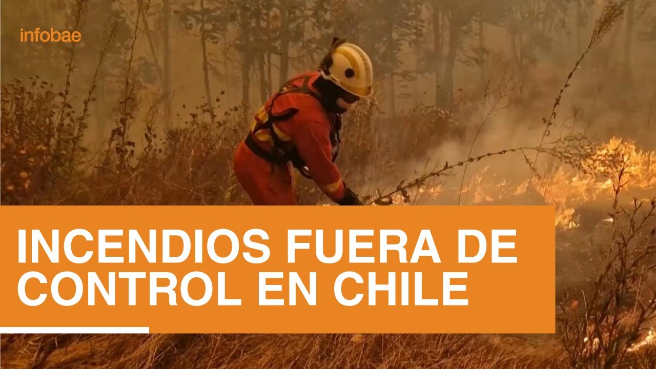 Los incendios en el sur de Chile siguen fuera de control: el 25% son intencionales