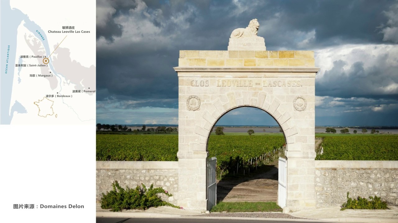 Wine-world.com Live Stream: Leoville Las Cases