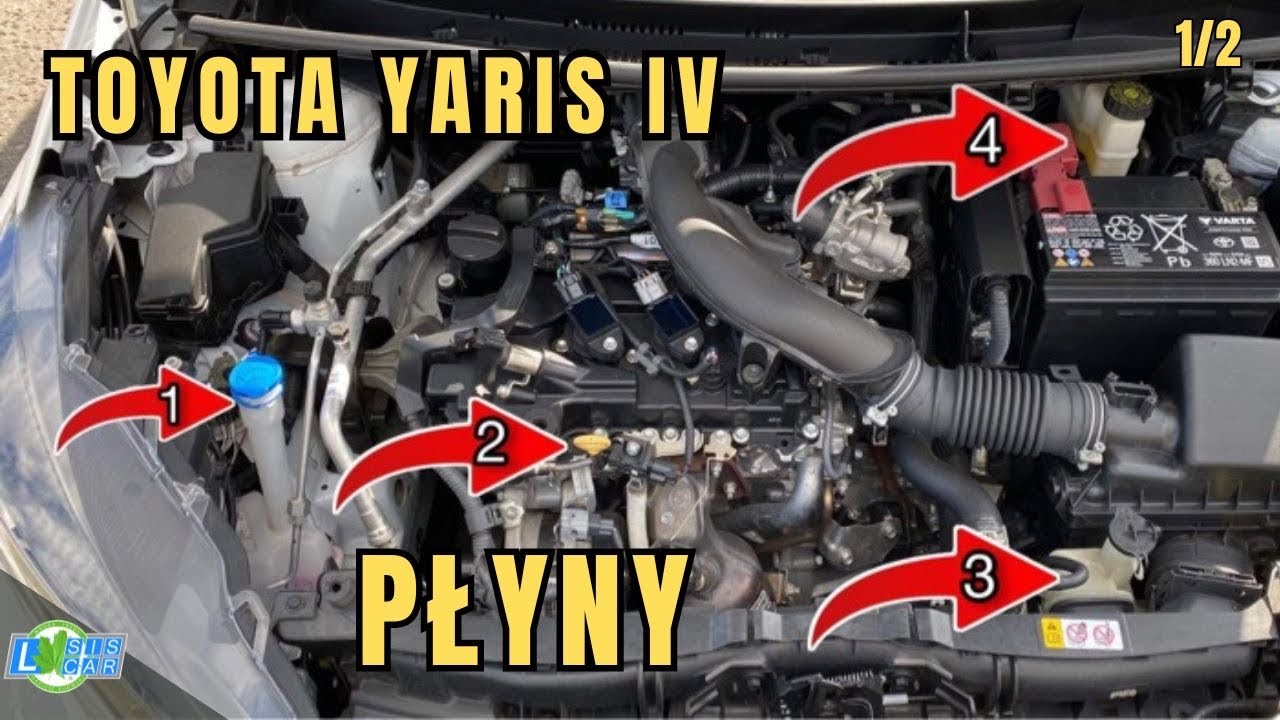 Jak sprawdzić płyny- Toyota Yaris IV. Szybka powt&oacute;rka przed egzaminem