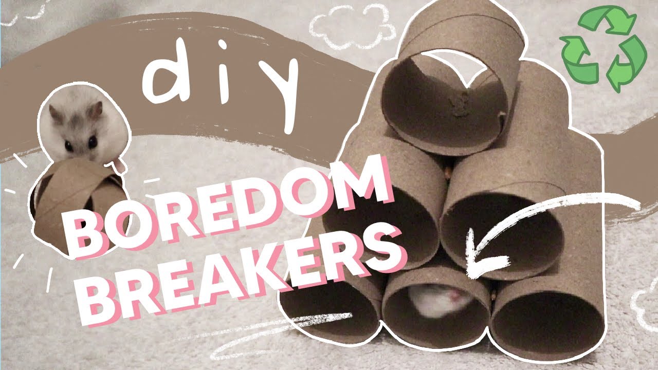 DIY Cardboard Toys to Stop Your Hamster Being Bored (FREE Materials From Your Recycling)