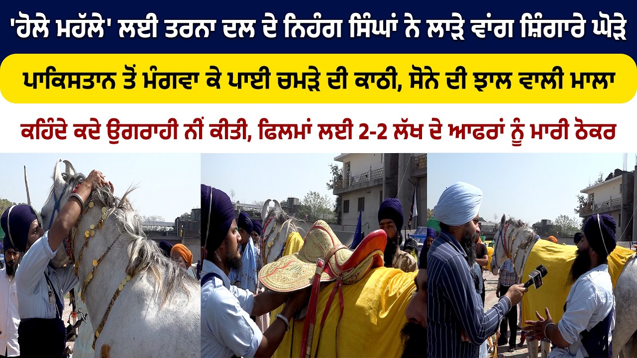 'ਹੋਲੇ ਮਹੱਲੇ' ਲਈ ਲਾੜੇ ਵਾਂਗ ਸ਼ਿੰਗਾਰੇ ਘੋੜੇ, ਫਿਲਮਾਂ ਵੱਲੋਂ ਆਏ ਲੱਖਾਂ ਦੇ ਆਫਰਾਂ ਨੂੰ ਸਿੰਘ ਨੇ ਮਾਰੀ ਠੋਕਰ