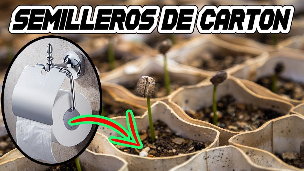 🔴🔴 CóMo Hacer Un SEMILERO CASERO | Almácigos caseros | Semilleros de tomates y piminetos