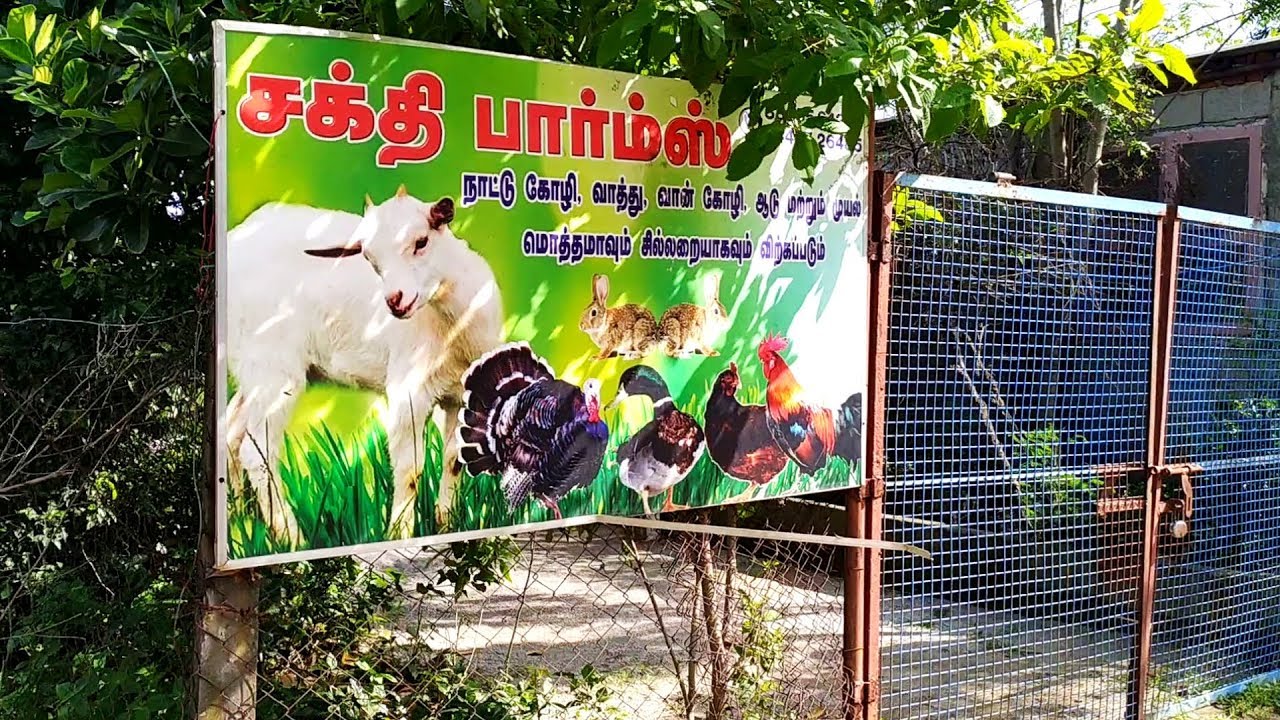 ஒருங்கிணைந்த பண்ணையில் அசத்தும் இல்லத்தரசி - Integrated Farm in Chennai