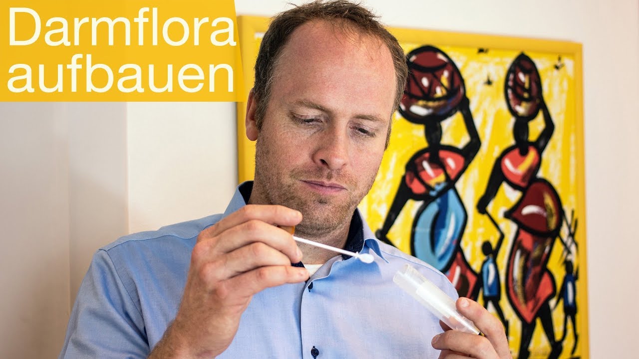 Darmflora aufbauen: Mikrobiom analysieren, sanieren & verbessern