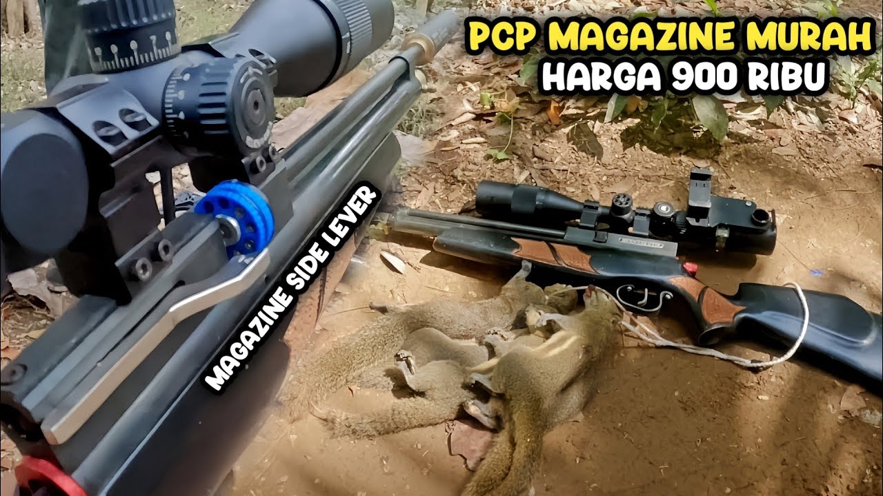 DIBAWAH 1 JUTA‼️Pcp Jawa Od 25 Murah Sudah Magazine | Berburu Bajing Kelapa