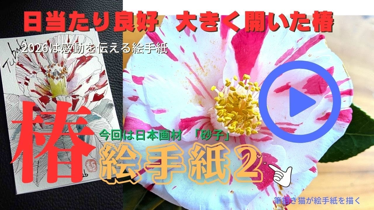 花瓶の椿が陽当たり良好で　ほぼ全開です。ハガキに描く2026年の絞りつばき２作目です。銀箔を焼いた「砂子」をまいています。