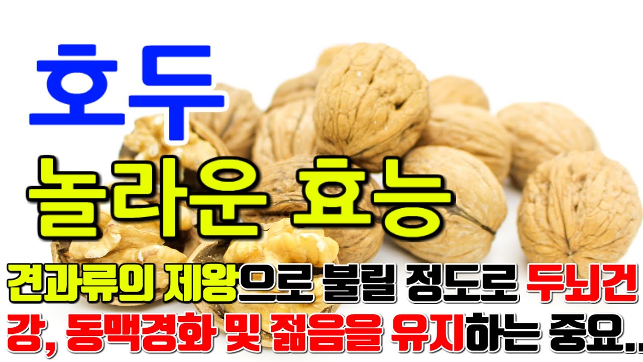 호두의 놀라운 효능 8가지 & 부작용 / 