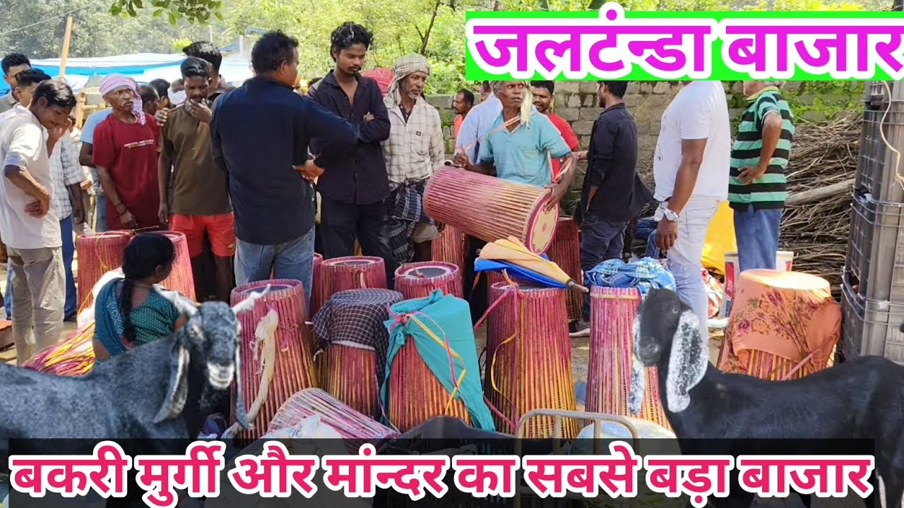 खस्सी मुरगी का सबसे बड़ा बाजार जलटंन्डा बाजार खुंटी/जलटंन्डा बाजार खुंटी/Jaltanda bajar khunti