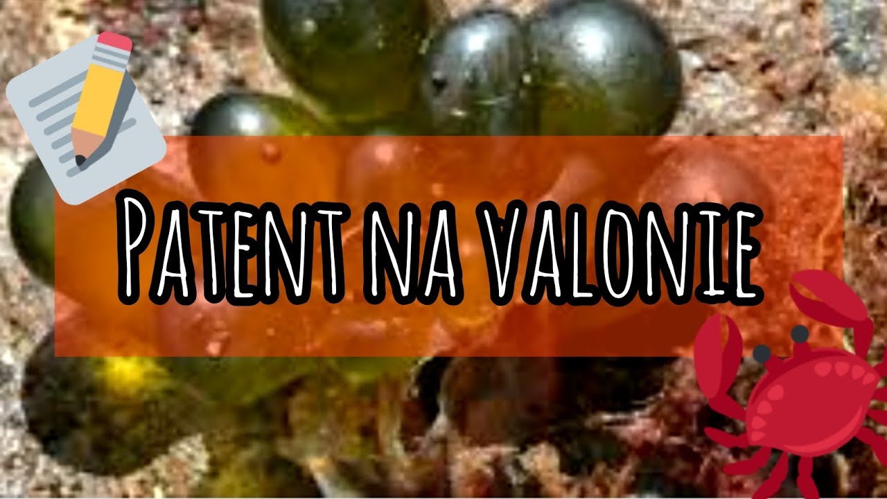 Usuwanie Valoni prostym sposobem  odc.24 #vibrant #akwarystyka