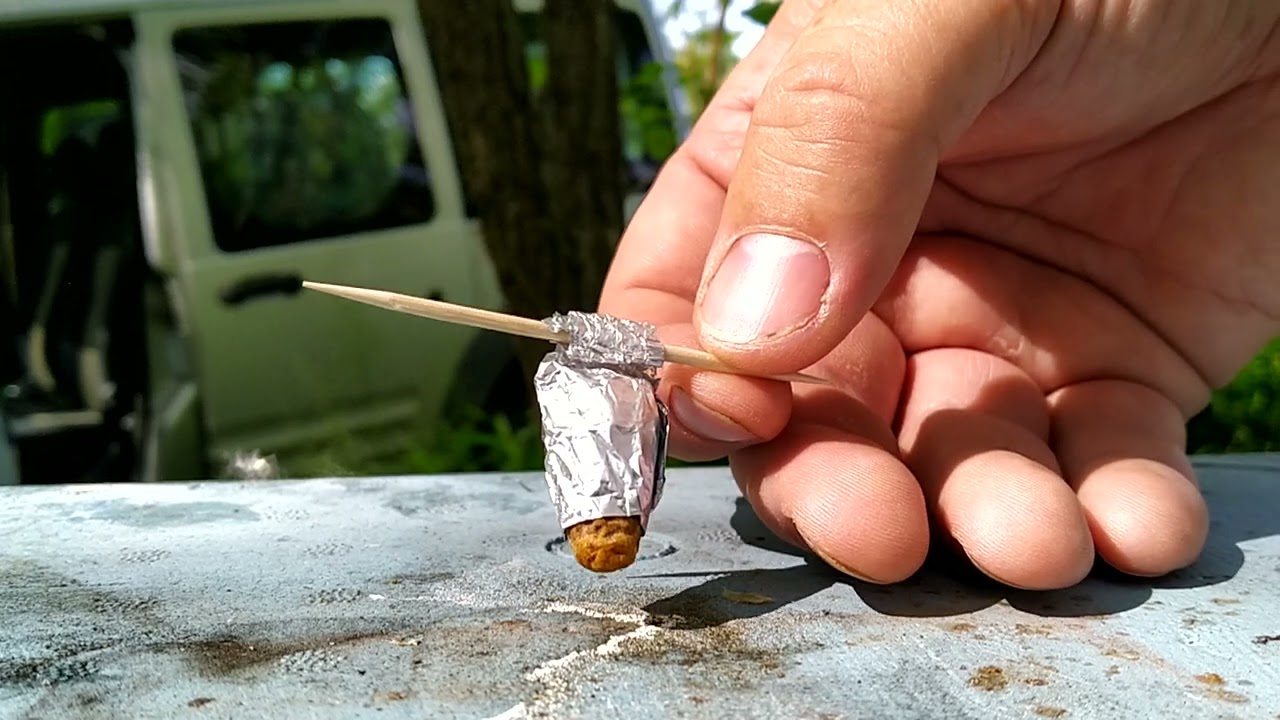 Bienen Ableger mit schlupfreifer Weiselzelle bilden