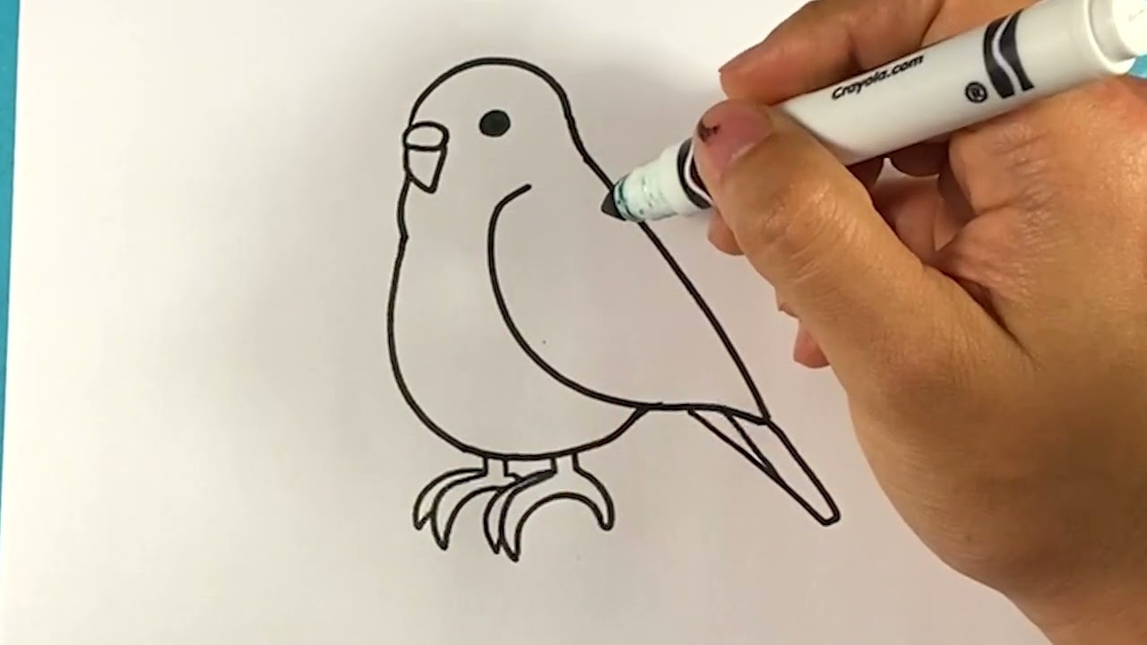 ЛЕГКО Как нарисовать попугая
