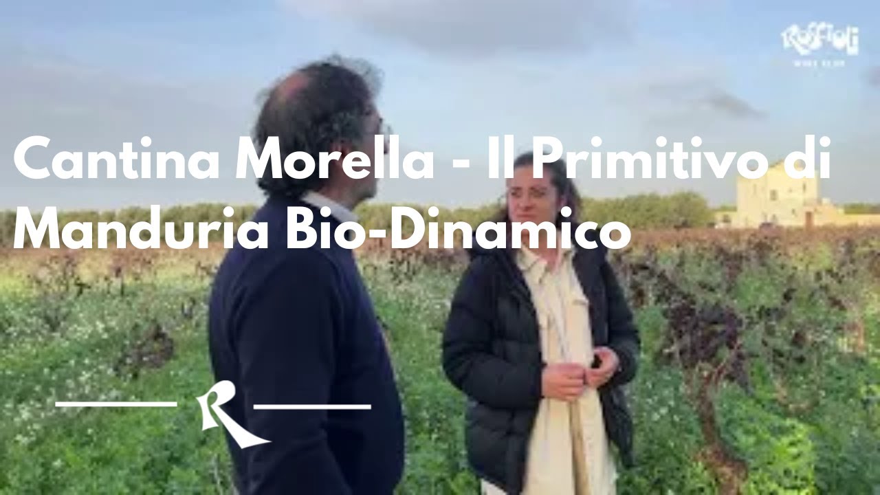 Cantina Morella: Il Primitivo di Manduria Bio-Dinamico