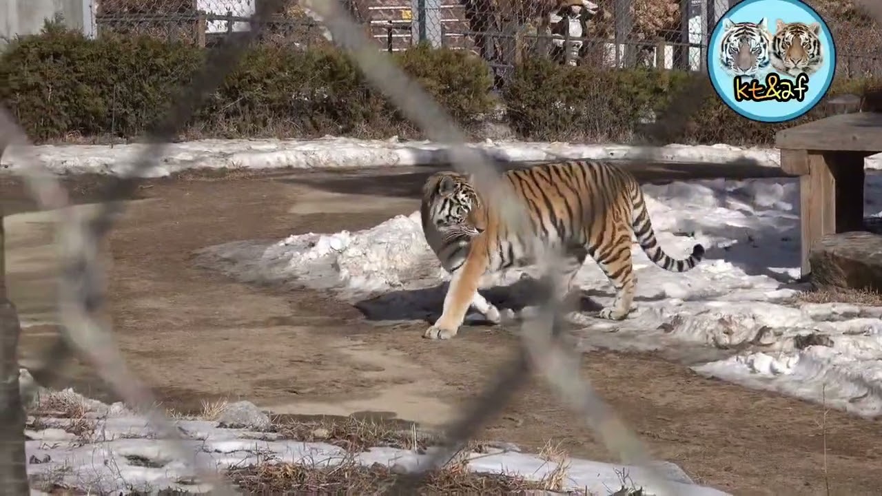 2026 01 16 좋았어~