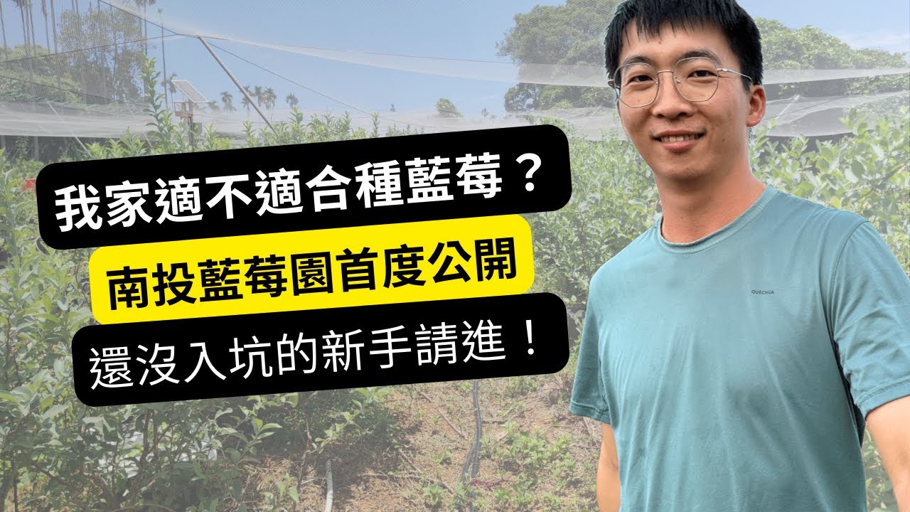 我家到底適不適合種藍莓？莓果日記南投藍莓園首度公開，還在煩惱要不要入坑的新手請進！