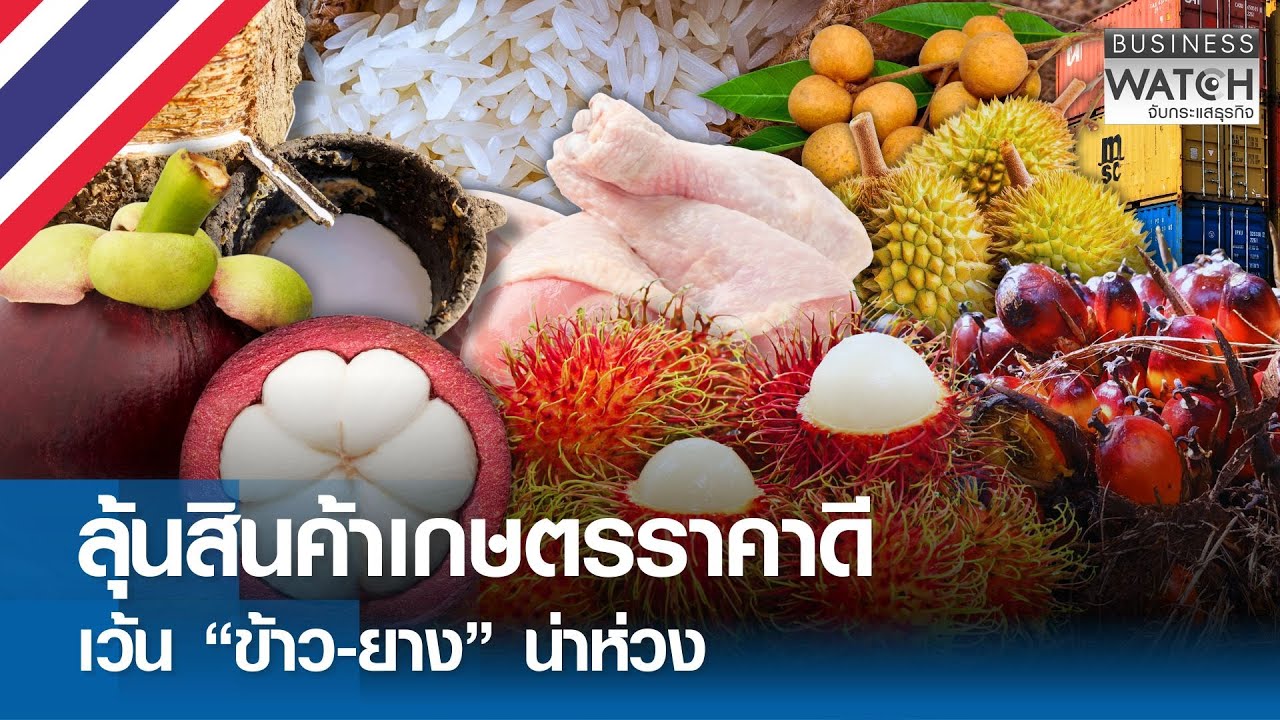 ลุ้นสินค้าเกษตรราคาดี เว้น “ข้าว-ยาง” น่าห่วง | BUSINESS WATCH | 25-01-69