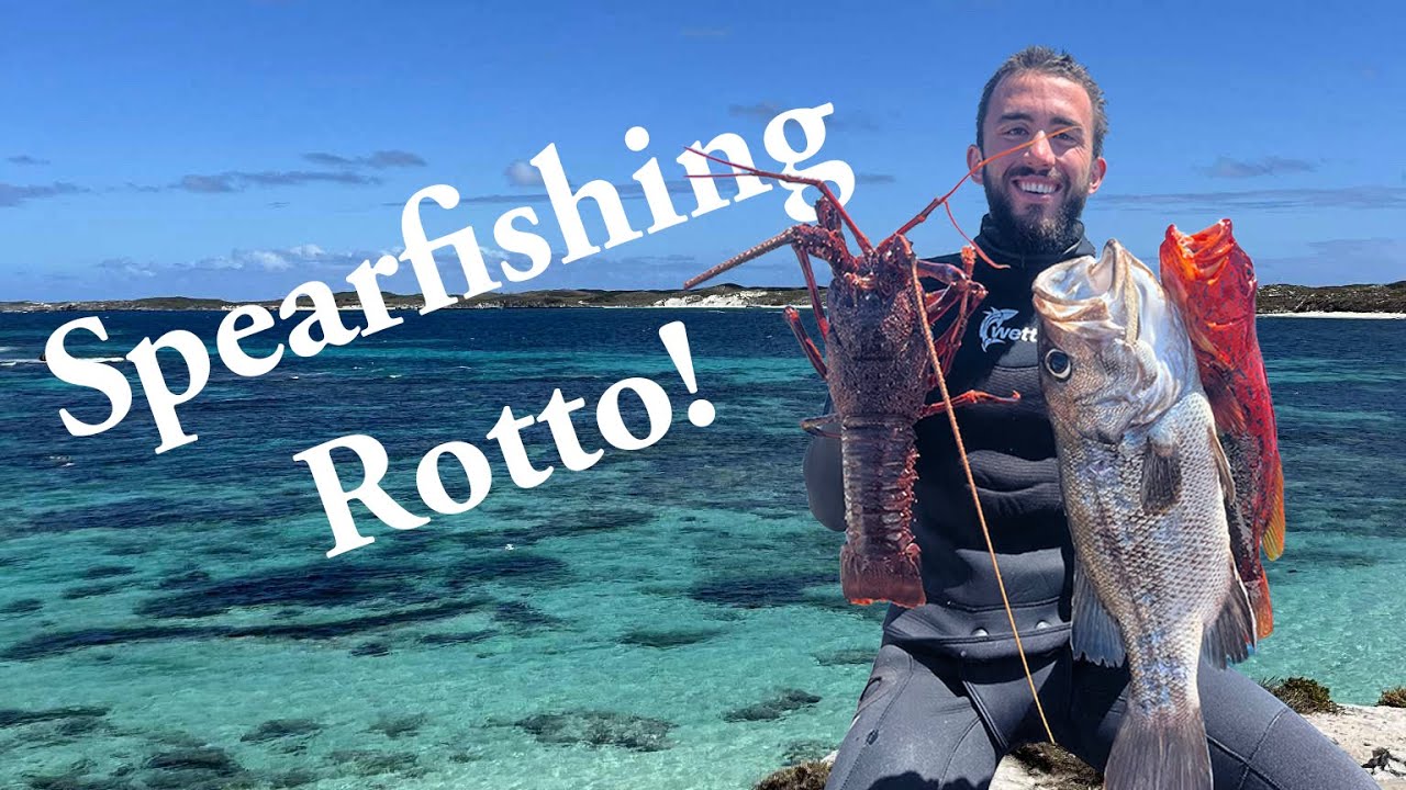 Spearfishing Rotto | Three New Species Off My List