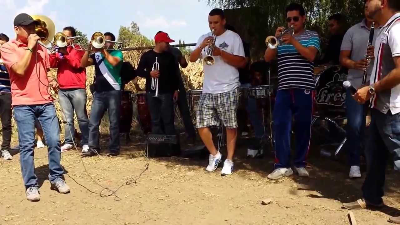 Banda Fresa En San Martin Cuautlalpan