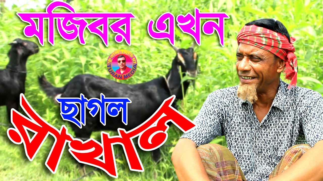 Chagol Rakhal | Mojiborer new comedy video 2025 by Mojibor&Badsha...