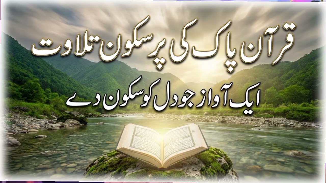 Beautiful Recitation of the Holy Quran | Heart Touching Tilawat | Peaceful Quran Recitation