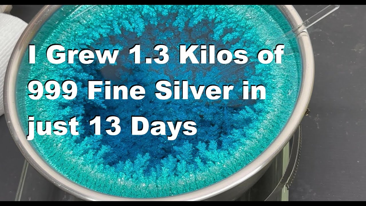 999 Fine Silver Cell Harvest and Reboot