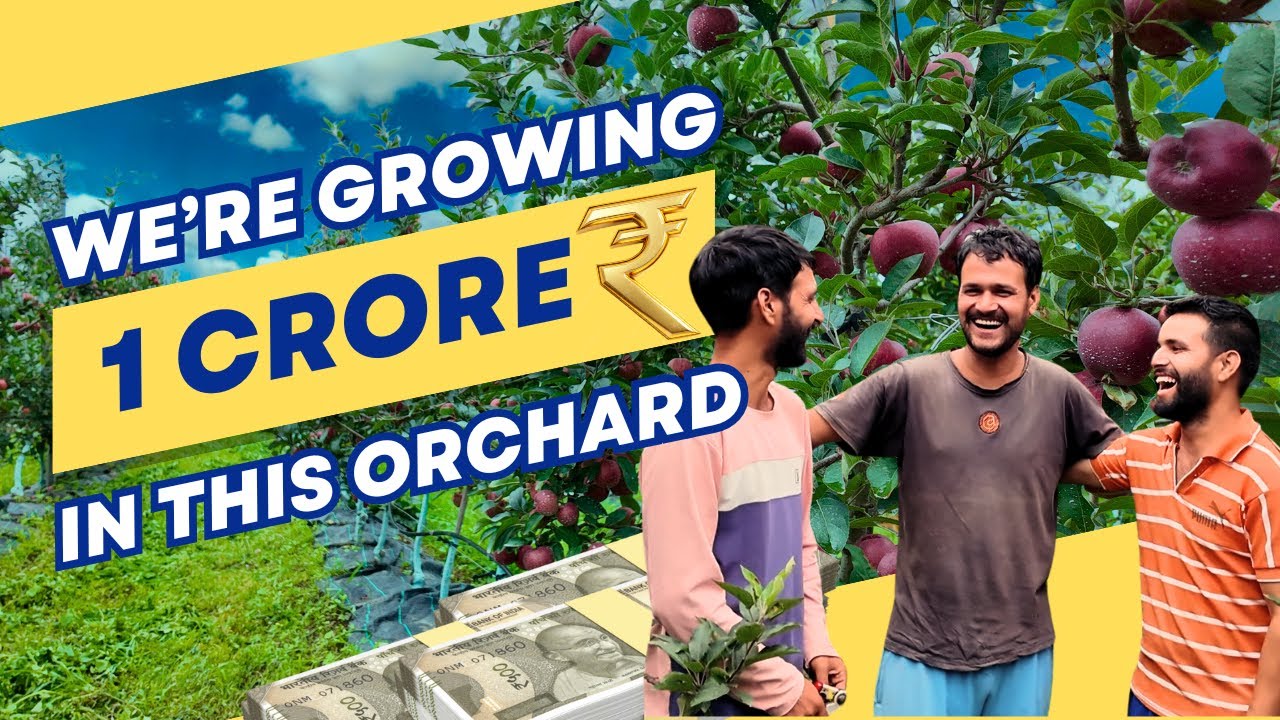 Next Year This Uttarakhand Orchard Will Earn ₹1 Crore | Kamal's Apple Farming Story | Unnati Apple