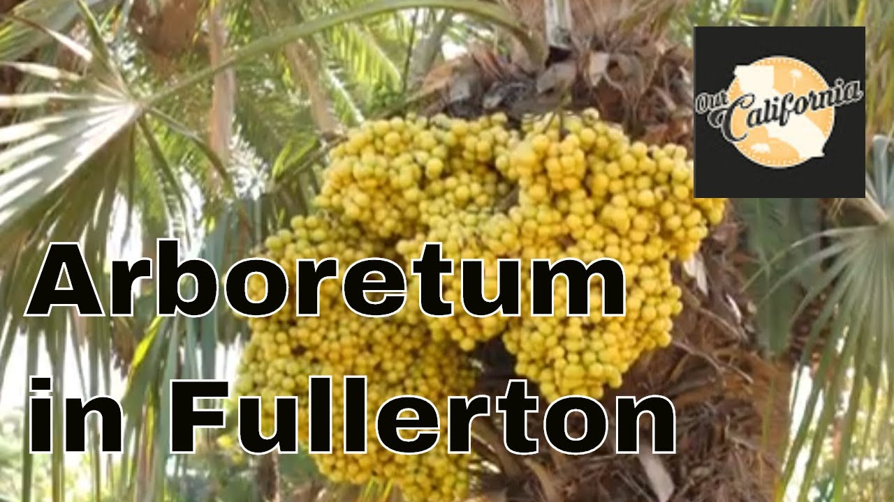 Fullerton Arboretum - Fullerton, California