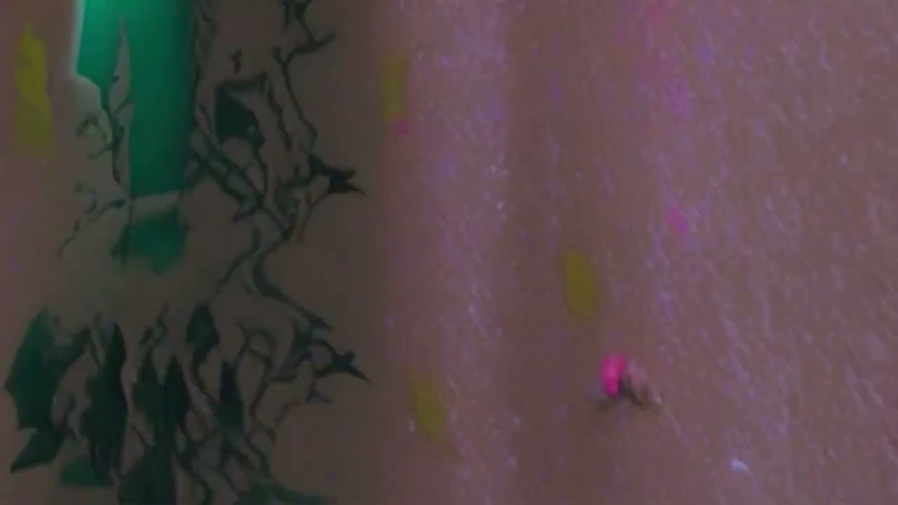 VCI - Tapicú (2024 Reshape)