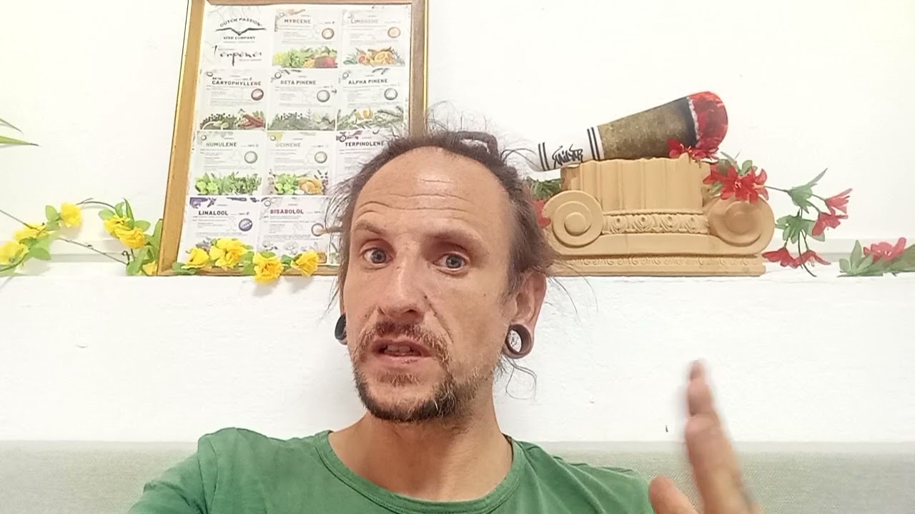 Live Rosin vs live Resin ! Was ist besser ?! 