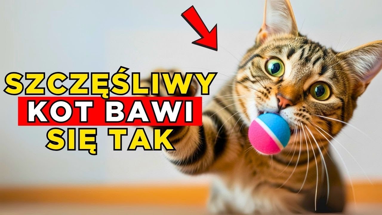 Niewielu właścicieli to robi, ale to sekret, by twój kot był szczęśliwszy!