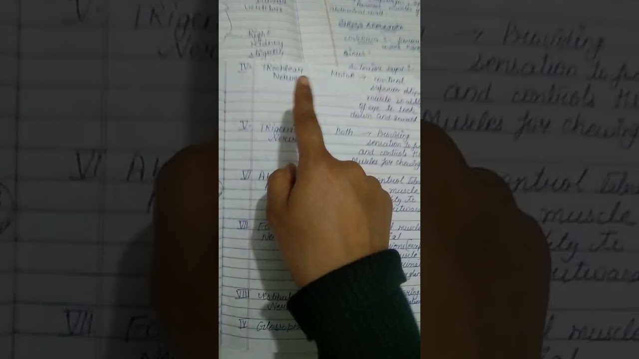 #nursinglecture #imp cranial nerve # bsc nursing 1 sem notes 