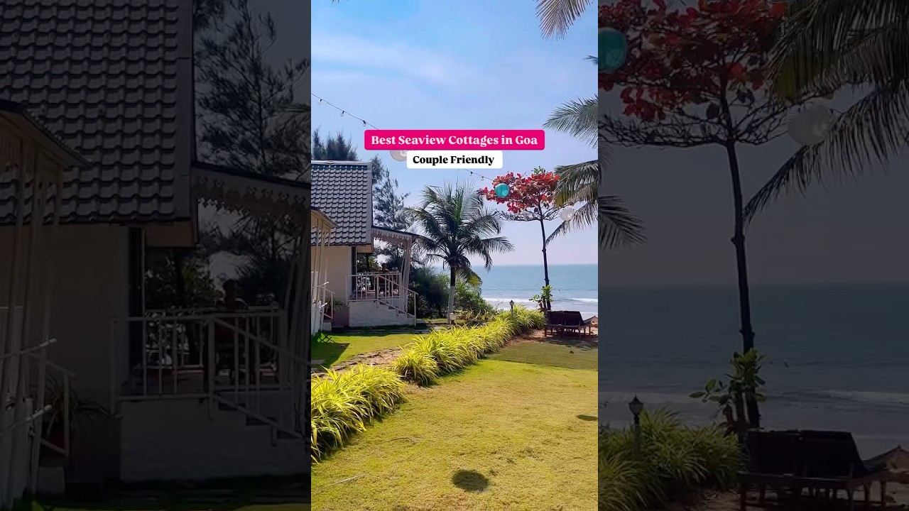 Best Seaview 🌊 Cottages in Goa | Couple Friendly Resort in Goa #goa #resorts #seaview