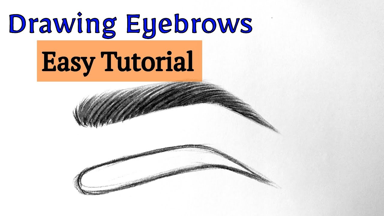 How to draw eyebrows drawing with pencil for beginners Eyebrow drawing easy step by step