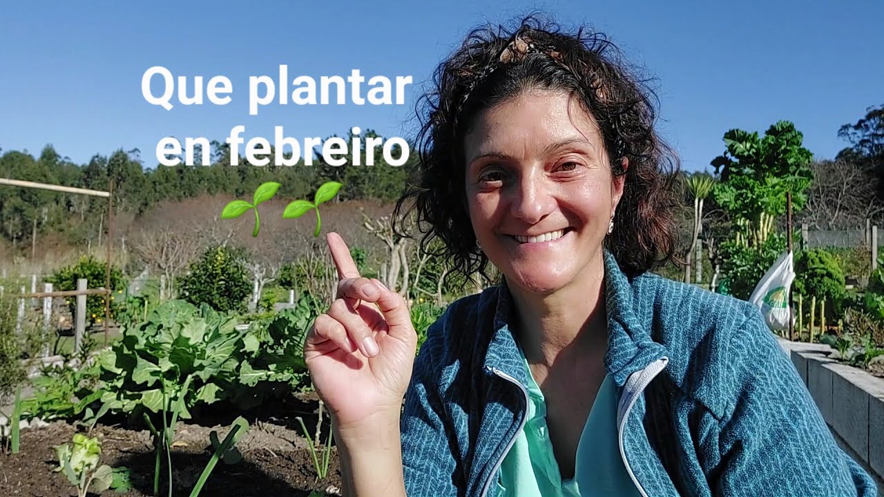 QUE PLANTAR EN FEBREIRO (como organizar, asociar cultivos e fertilizar) 👩🏻‍🌾||{NUSKA}