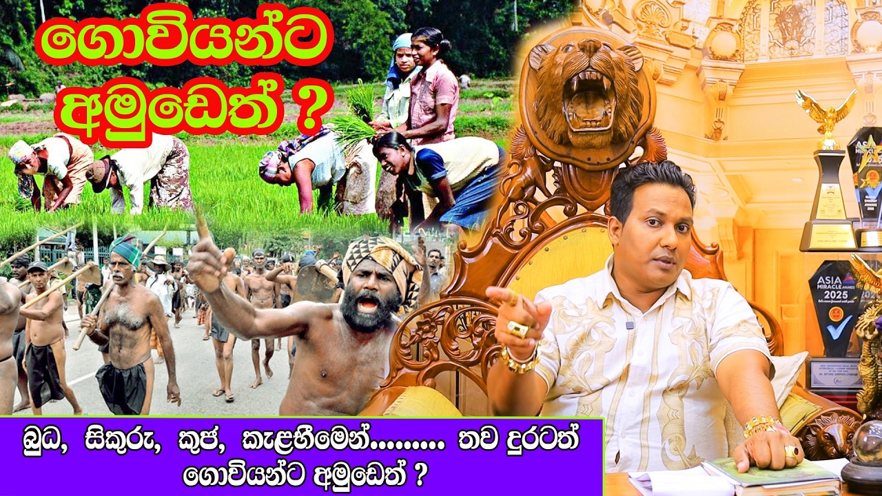 miyuru sampath liyange 🏆බුධ , සිකුරු , කුජ කැළඹීමෙන්........ තවදුරටත් ගොවියන්ට අමුඩෙත් ? #trending