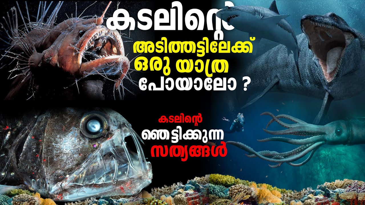 Journey to the Mariana Trench | മരിയാന ട്രെഞ്ചിലേക്ക് ഒരു യാത്ര പോകാം
