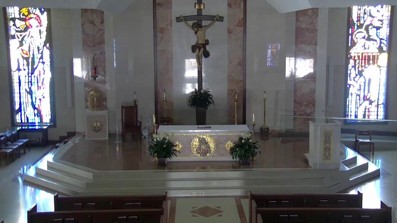 11:30am Daily Mass & 12noon Rosary