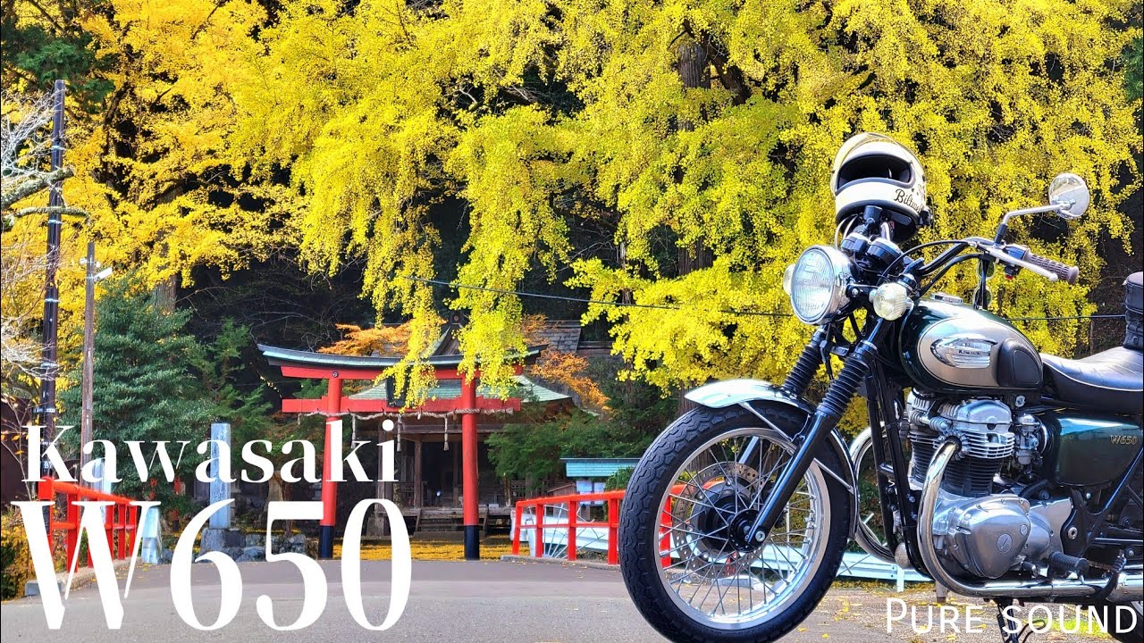 【kawasaki w650】秋を駆け抜けるダブルサウンド/排気音
