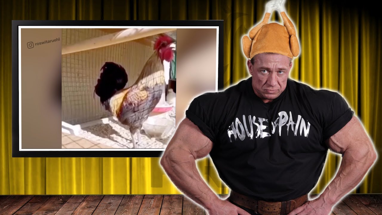JEDEN TAG 1KG EIWEIßPULVER | MEMES MIT MARKUS RÜHL #5