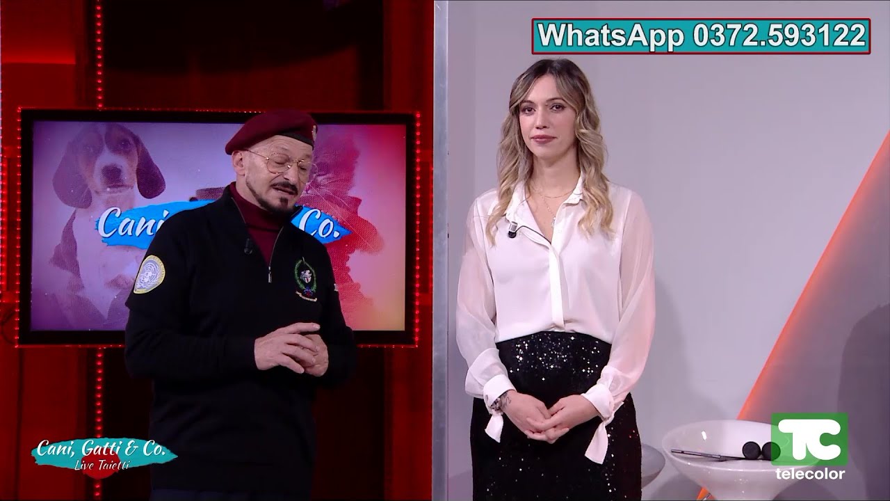 Cani e Gatti e Compagnia - live Taietti 18.11.2024