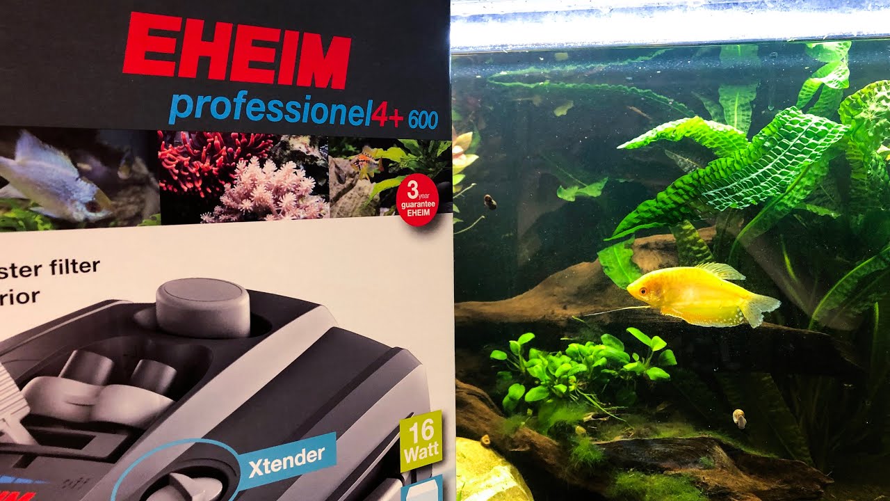 Eheim Professionel 4+ 600 - Review und Aufbau Part 1/2