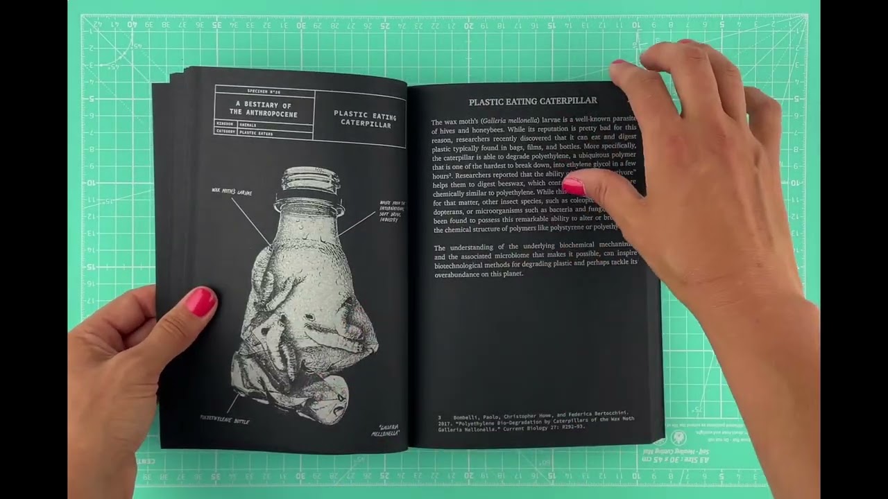 A Bestiary of the Anthropocene Flip Through Video