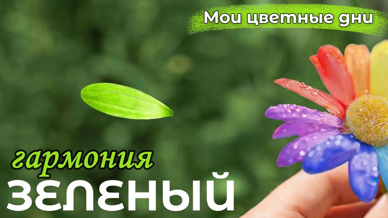 🟢 Зелёный — сегодня я выбираю тишину | Мои цветные дни