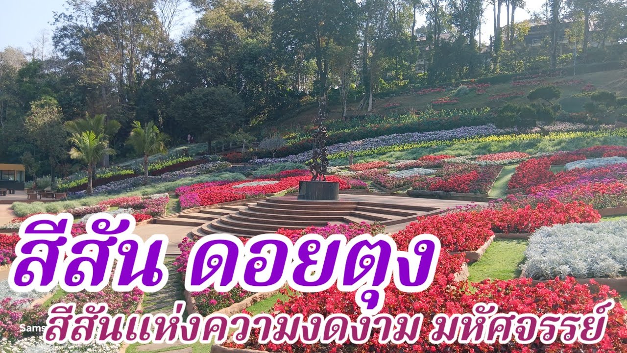 สีสัน ดอยตุง สีสันแห่งความงดงาม มหัศจรรย์