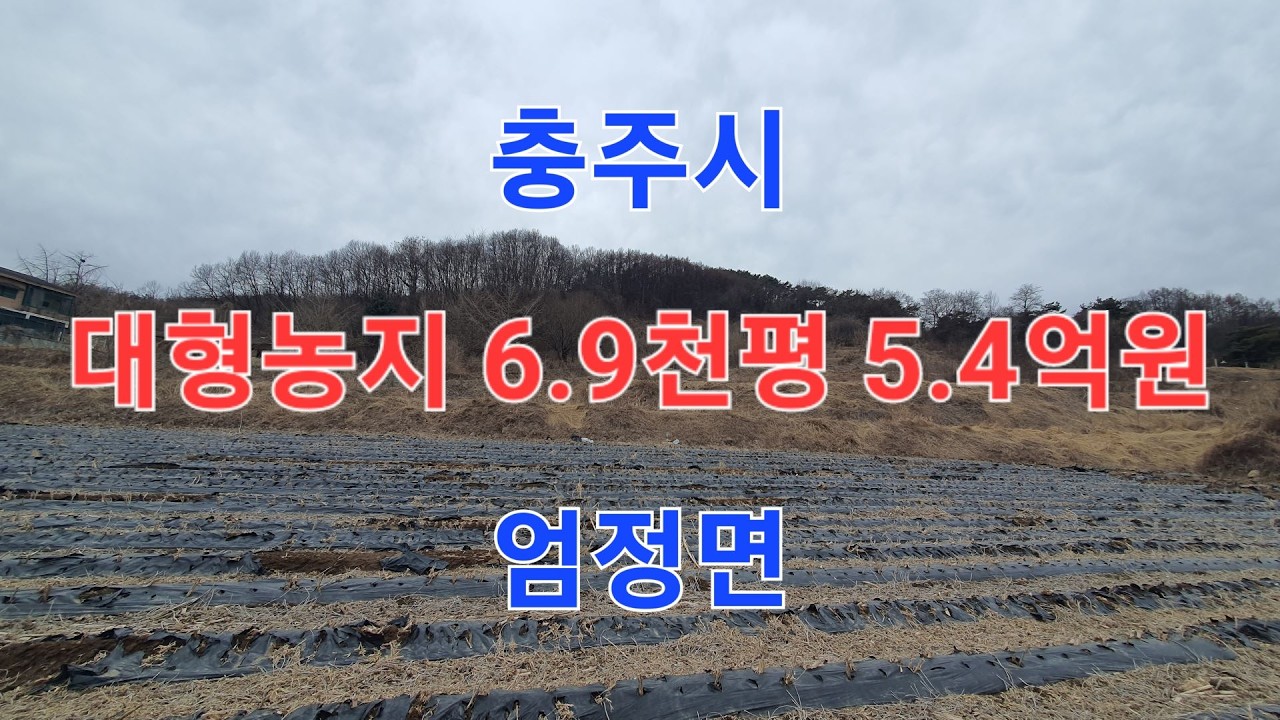 🌏 부동산 ↪️ 이광규945 🎯 대형농지 📢 충주시 엄정면 대형 영농용지 6,906평