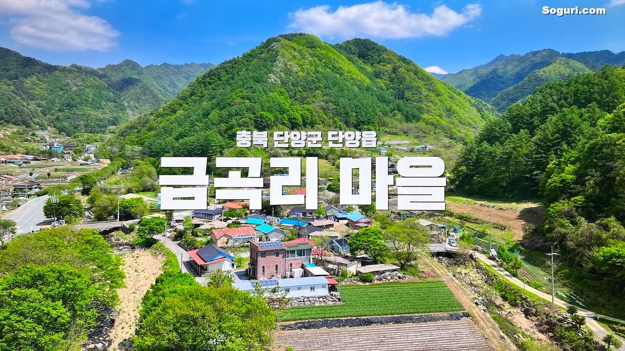 충북 단양군 단양읍 금곡리 마을풍경 - 20250502