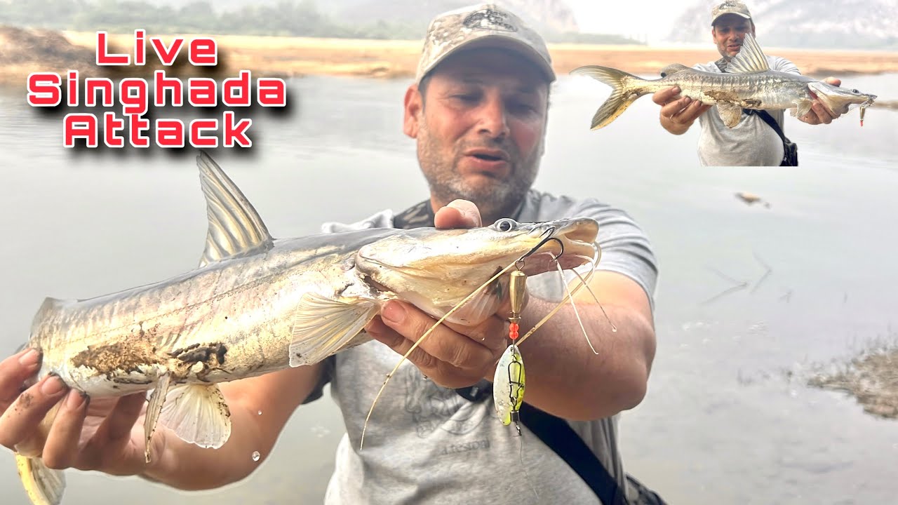 Catfish Fishing Singhada Today I had fun catching Singhada Spinner Fishing