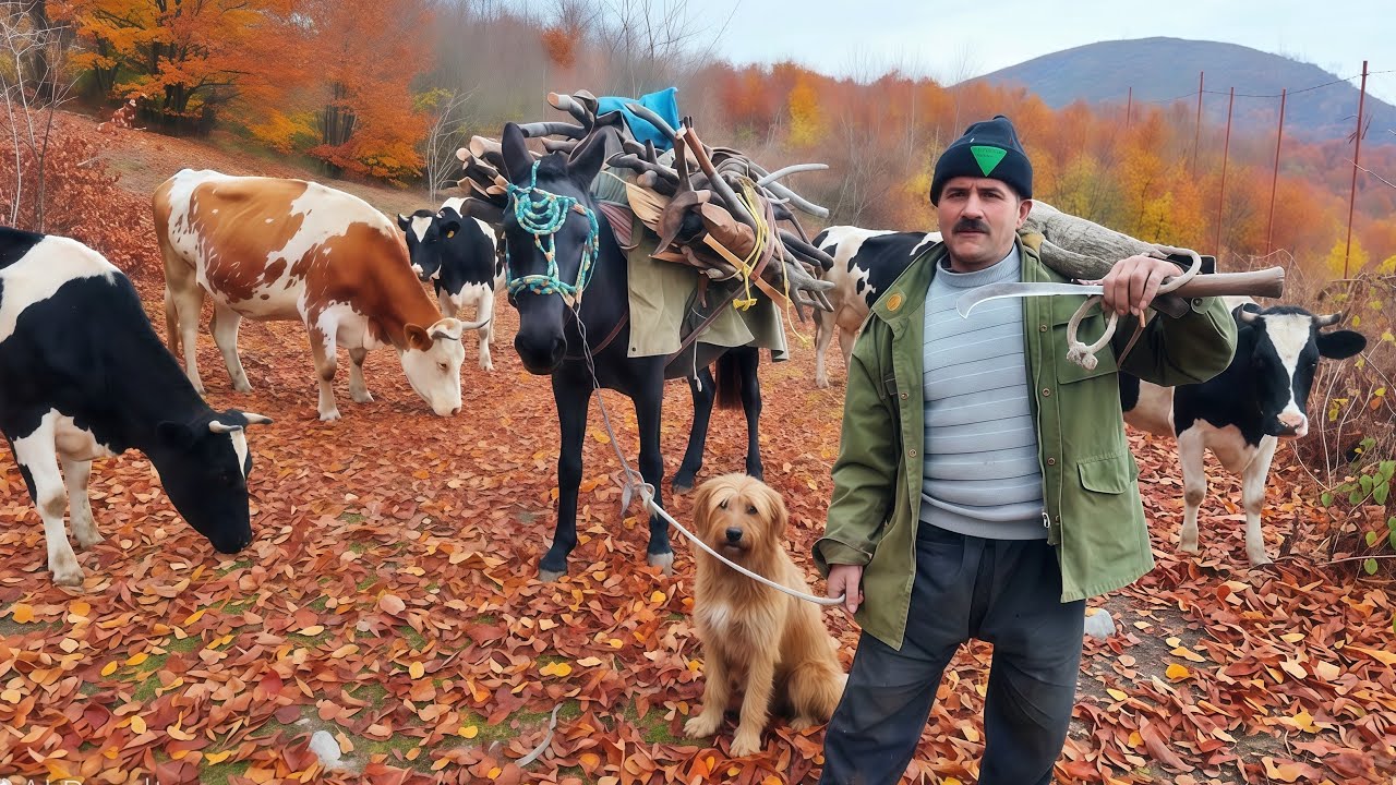 Inside Iran's Remote Mountain Villages: A Day in the Life of Traditional Farming